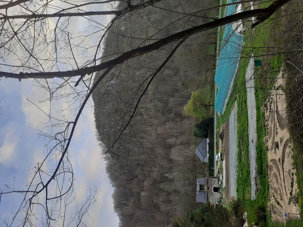 La ferme vue de la forêt